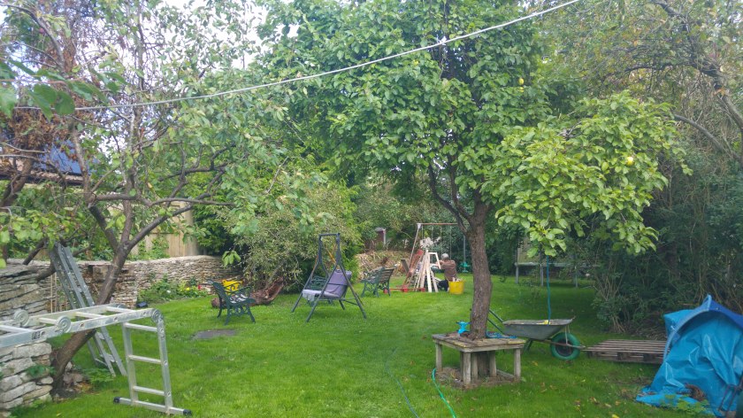 view of lawn with ladders, husband doing woodwork, tools, etc