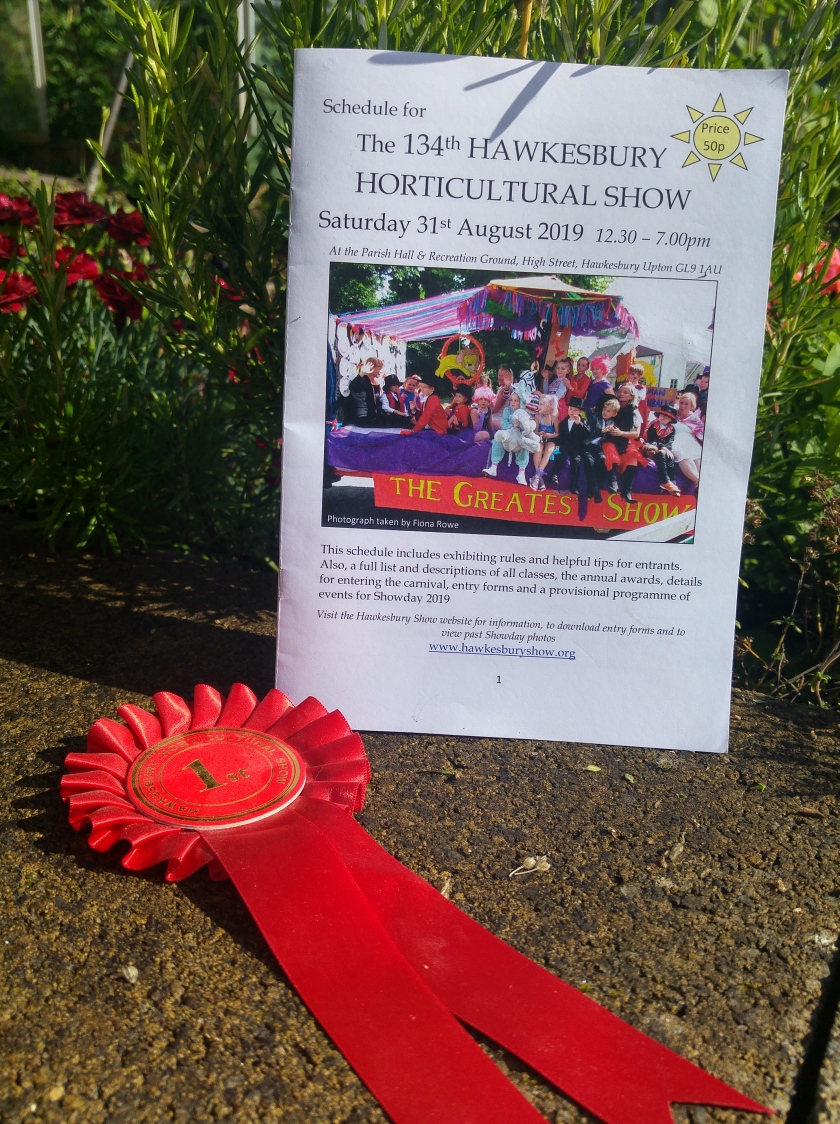 Photo of show schedule with first prize rosette